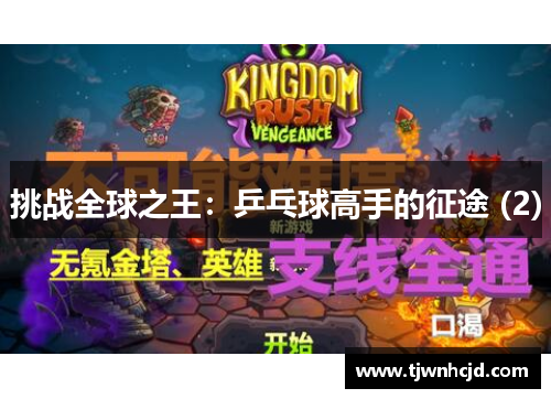 挑战全球之王：乒乓球高手的征途 (2)
