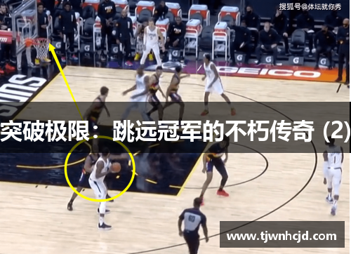 突破极限：跳远冠军的不朽传奇 (2)